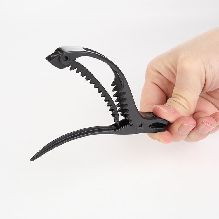 Multi-function Dolphins Clip3 Multi-function Dolphins Clip3