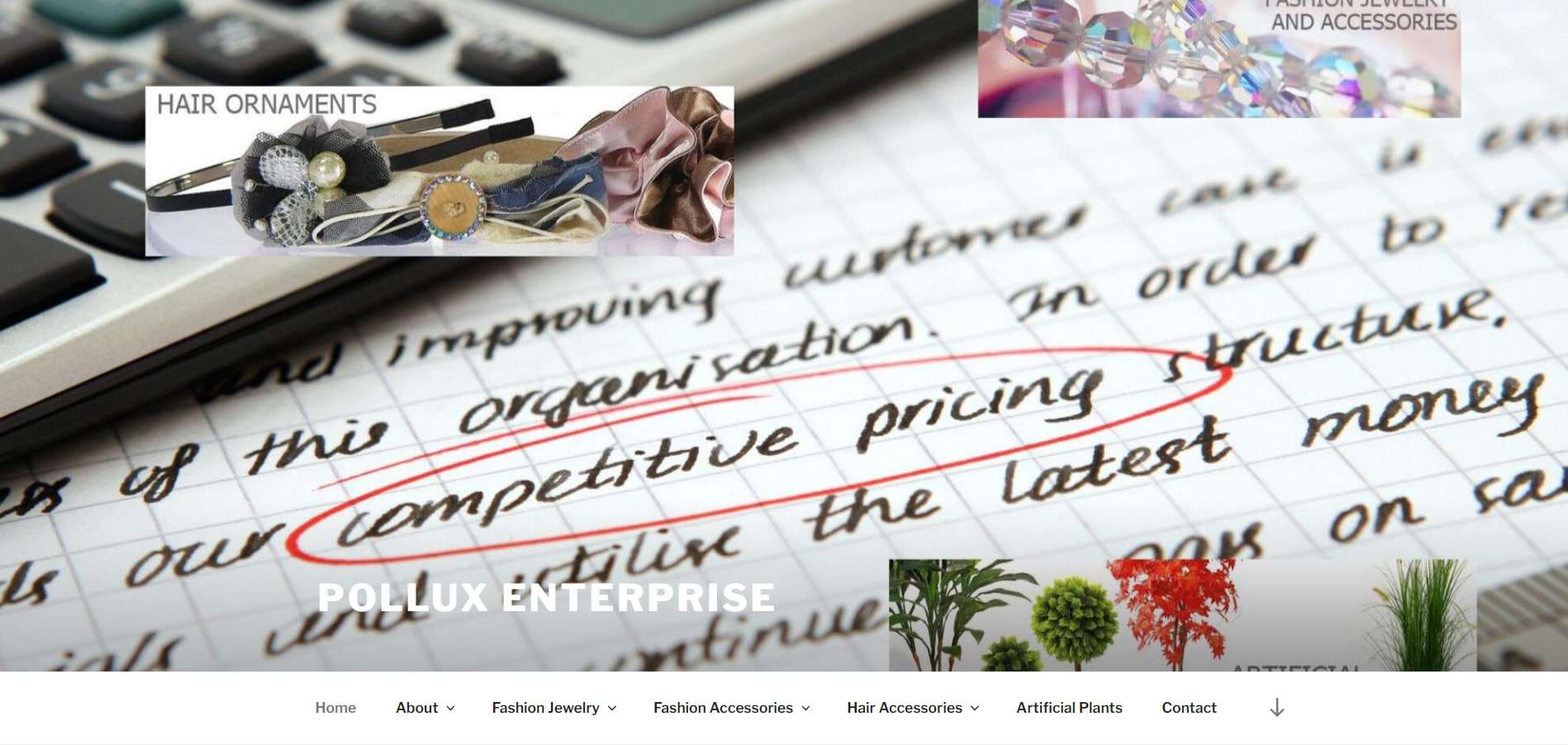 Pollux Enterprise Ltd Pollux Enterprise Ltd