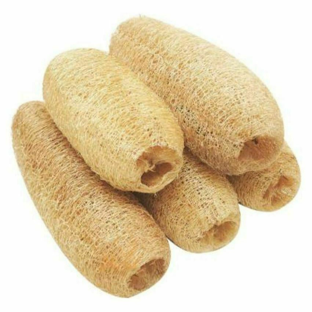 One-Stop Ridge Gourd Scrubber Wholesale Service-Vickkybeauty