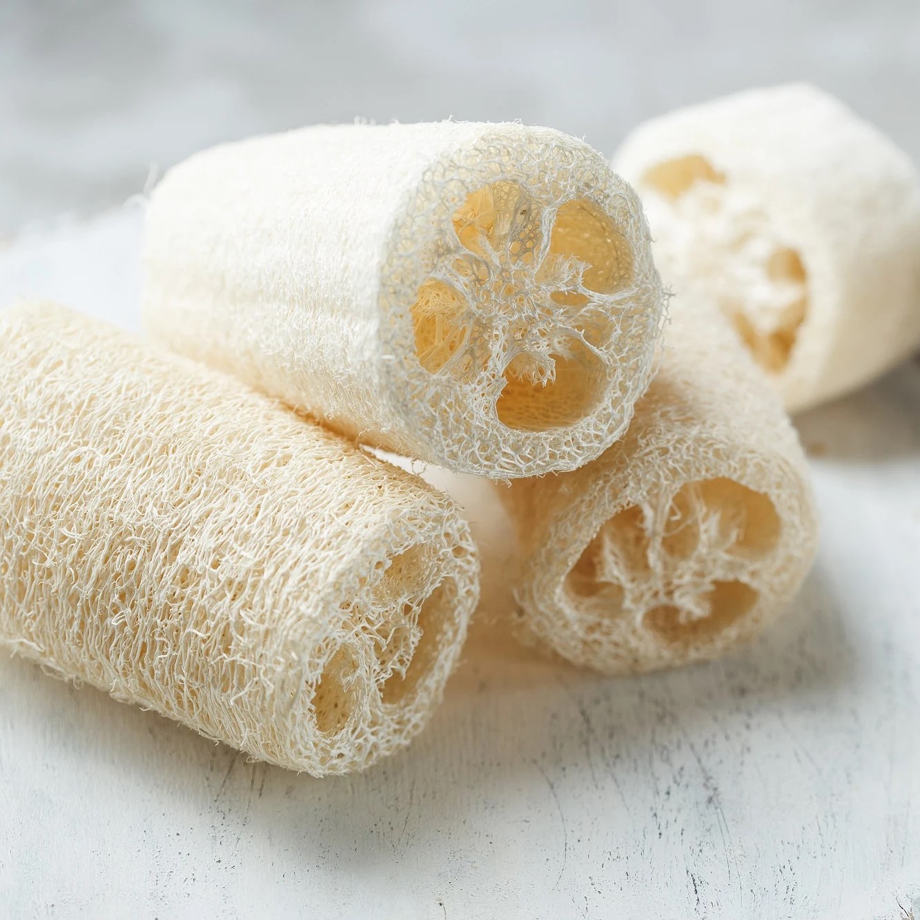 Loofah Wholesale-Loofah Wholesale-Vickkybeauty2