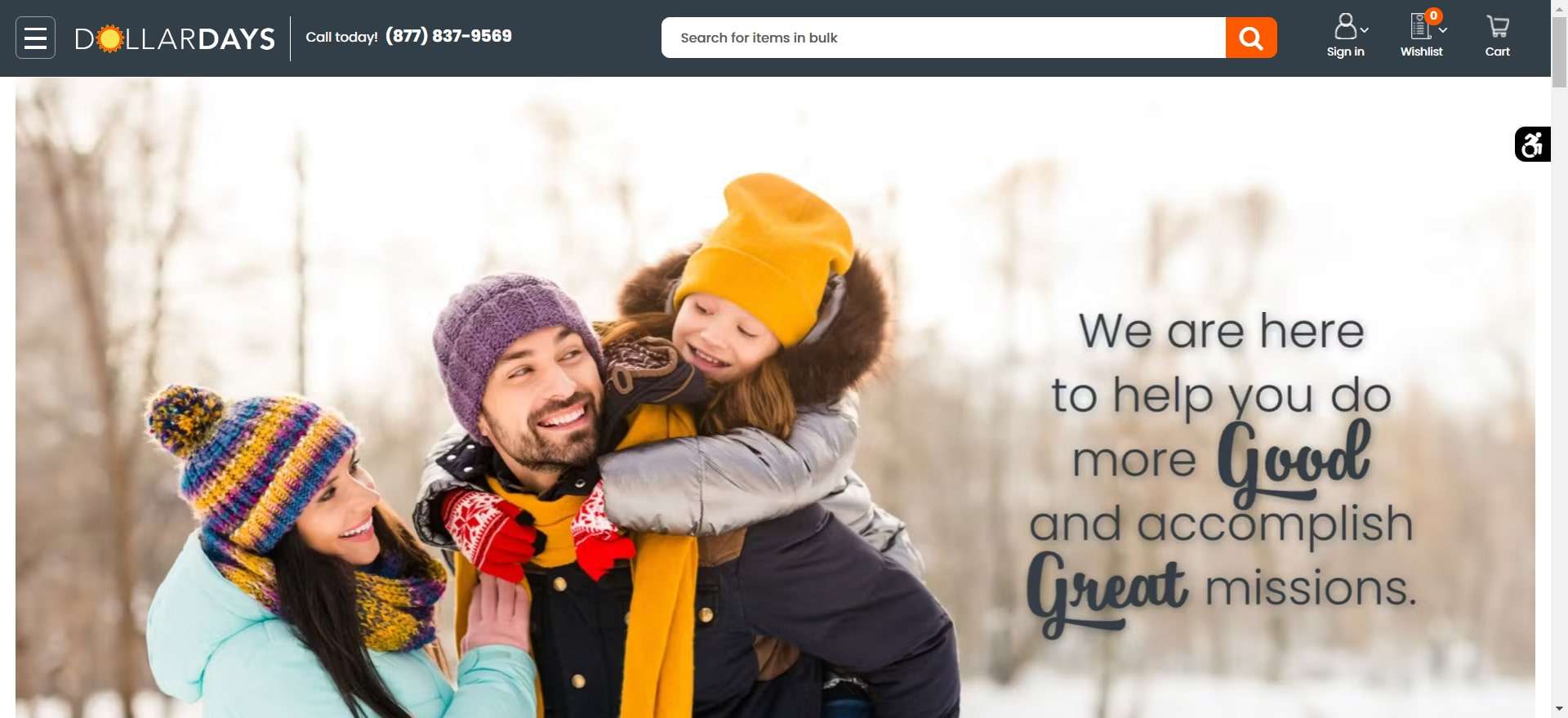 DollarDays - hair accessories supplier - Vickkybeauty