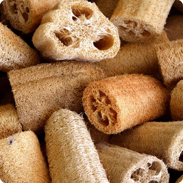 One-Stop Ridge Gourd Scrubber Wholesale Service-Vickkybeauty