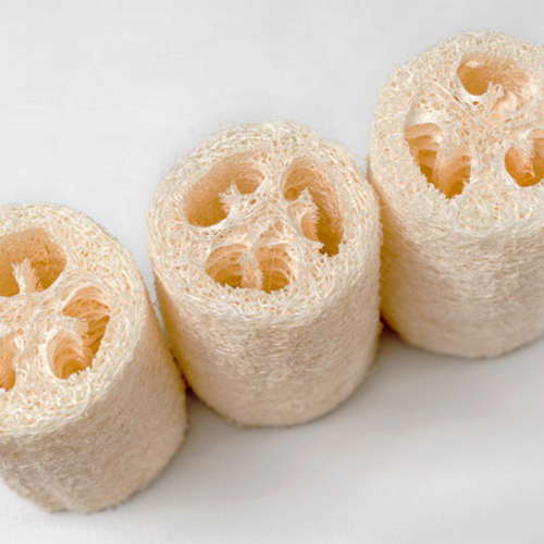 Ridge Gourd Scrubber Wholesale-Vickkybeauty